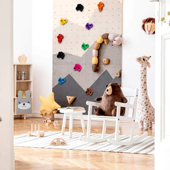Climbing Holds 10PCS | Rock Wall Holds