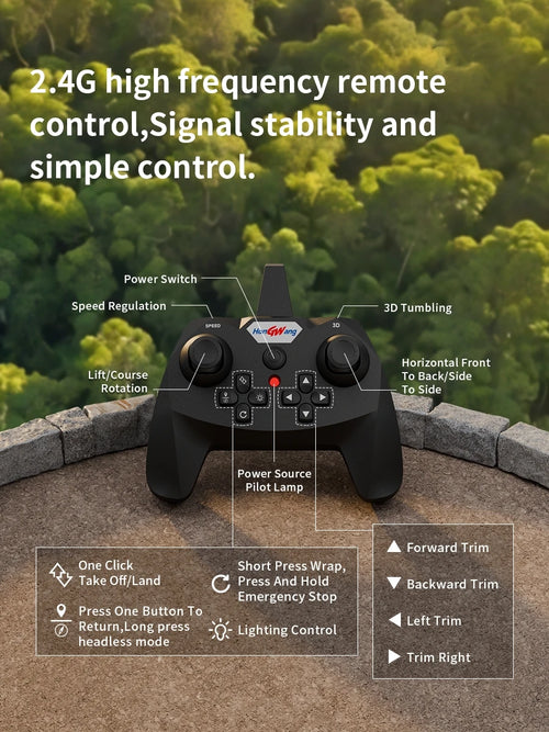 2.4G RC Dinosaur Aircraft Glider Toy